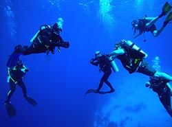 Activities in Barcelona - Teambuilding in Barcelona - Scuba Diving