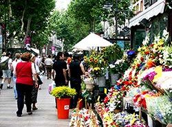 Attractions in Barcelona - Las Ramblas